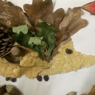 « Листоежик».