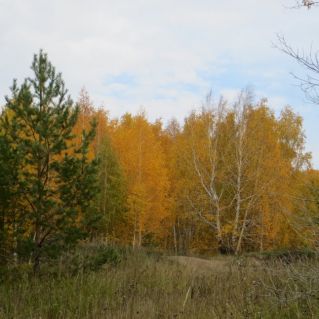 "Осень стучится в дверь"