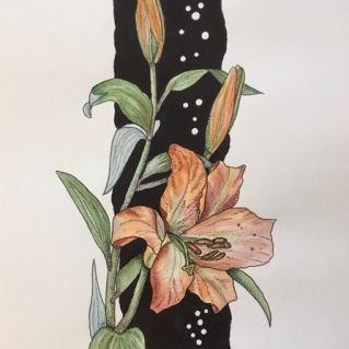 "Загадочное создание природы"