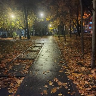 " Осень на улицах города"