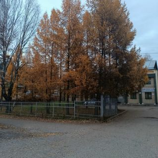 Поздняя осень