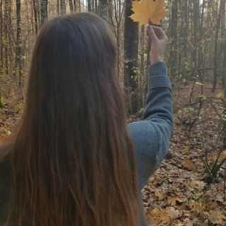 Осенние листья