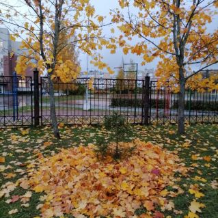 Краски осени