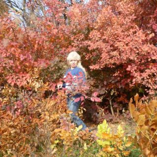 Осенняя дорога!