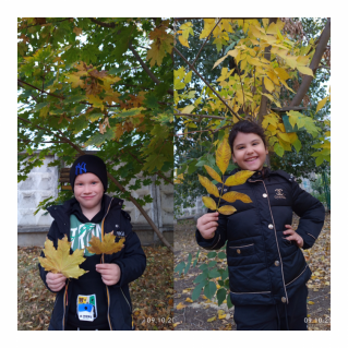 Фотоконкурс «Осенний листопад»