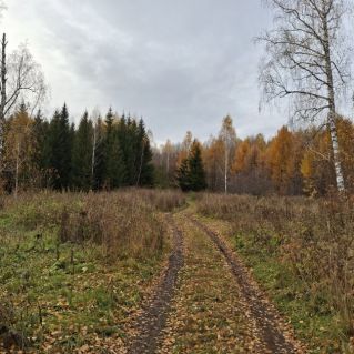 " Осень-очей очарование"