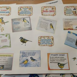 Стенгазета "Синички-наши друзья!"