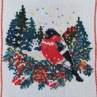 "Снегирь-пушистик"