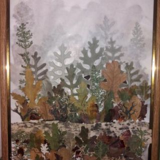 Осенний лес