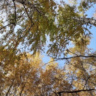 Творческая работа "Осенние вершины"