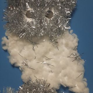 "Полярная сова"