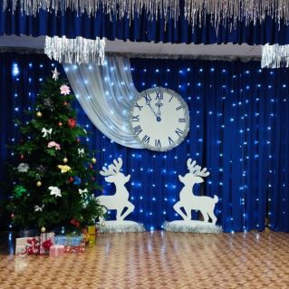 Новогоднее чудо