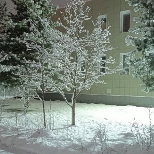 "Зимнее утро"