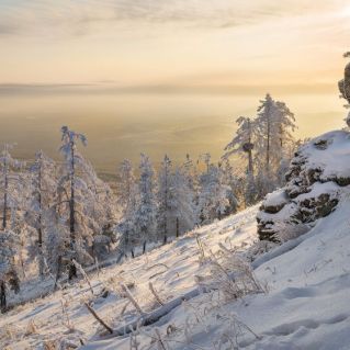 Зимние чудеса