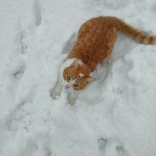 Зимние забавы