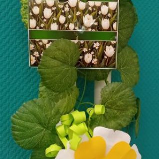 Оформление класса