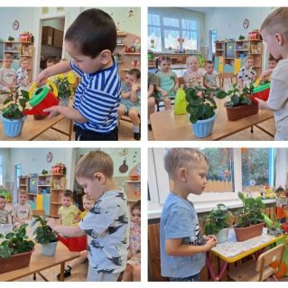 Юные экологи