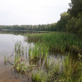 Таёжное озеро