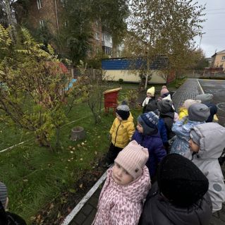 Прогулка. Наблюдение за изменениями в природе  в осенний период