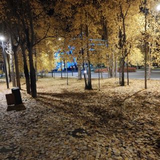 Осенний листопад