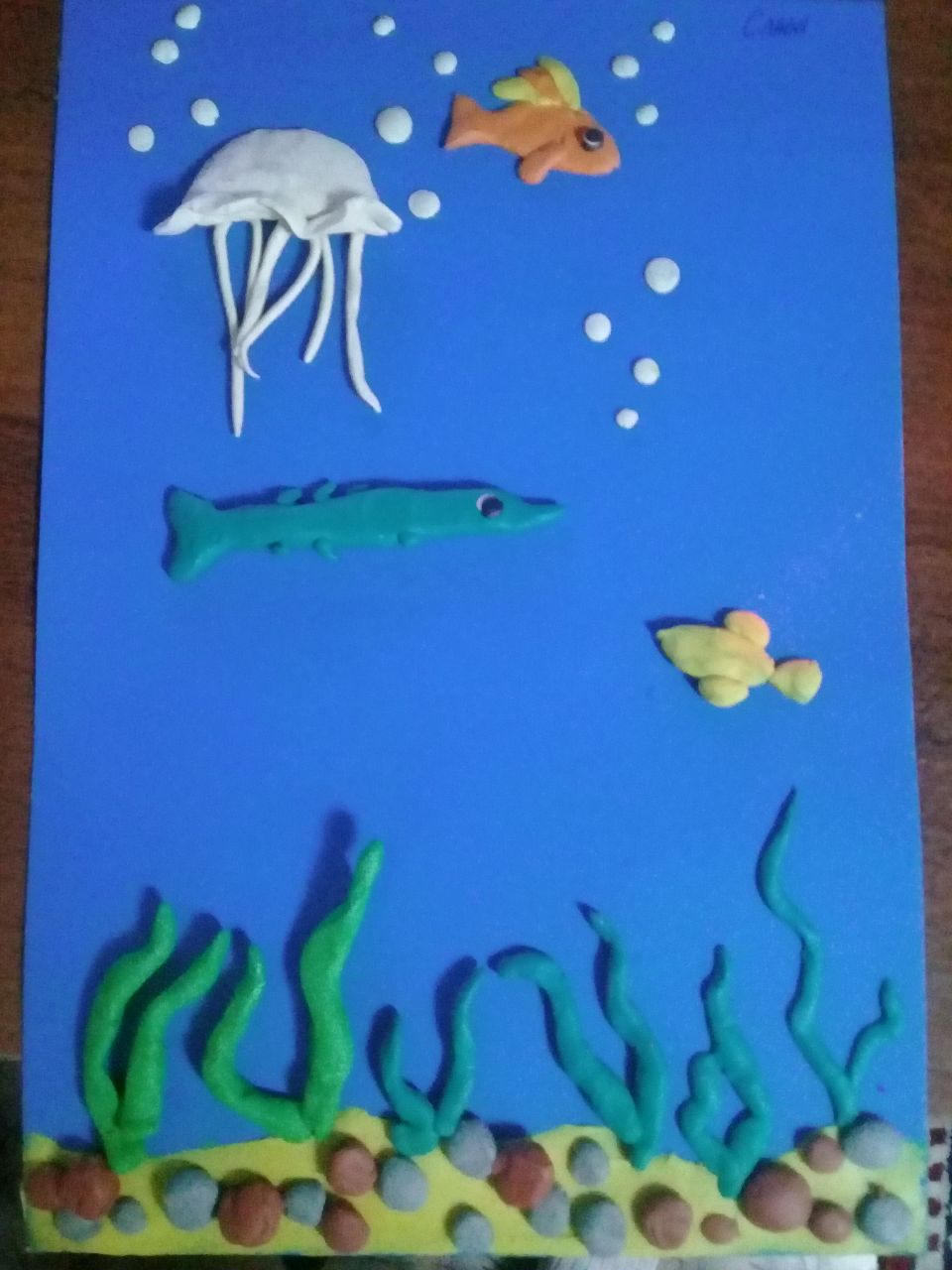 Подводный мир