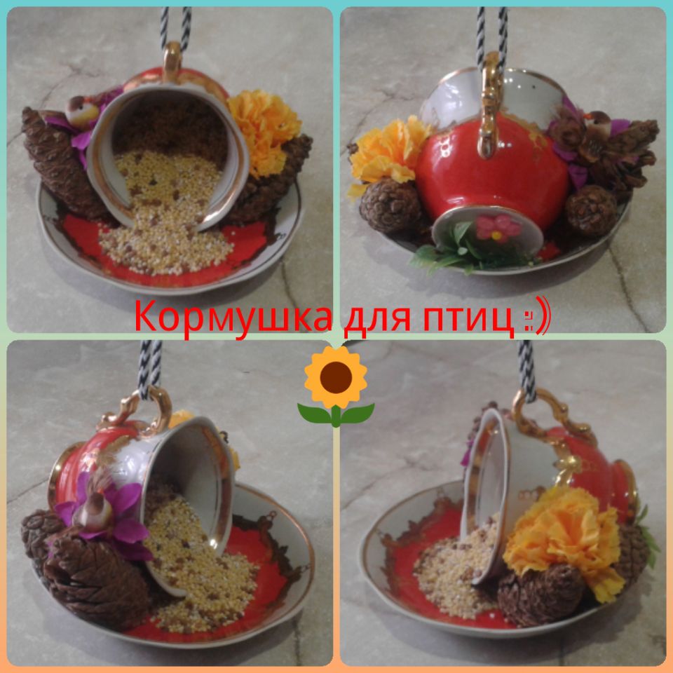 Акция "Покормите птиц зимой!"