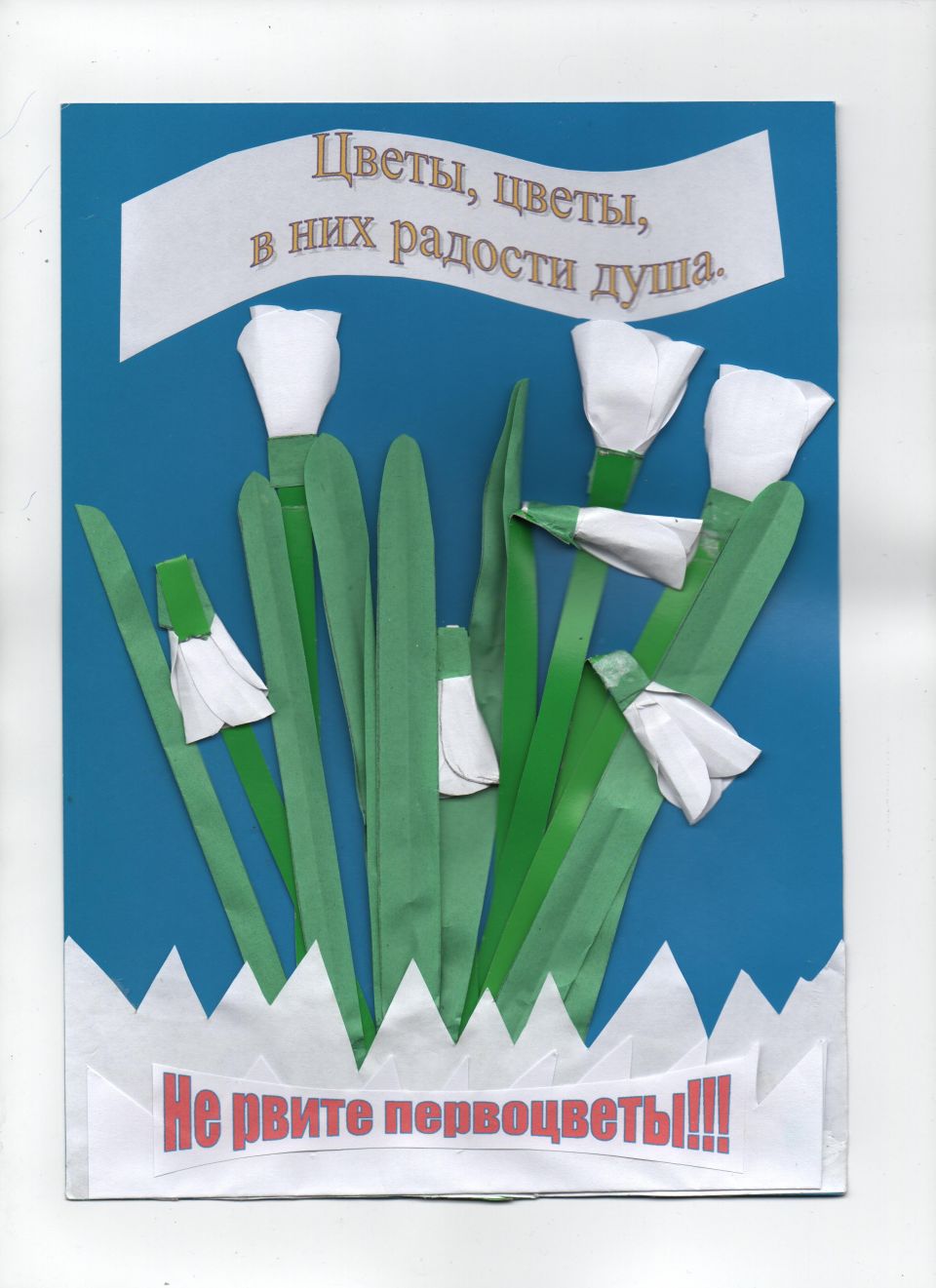 Первоцветы