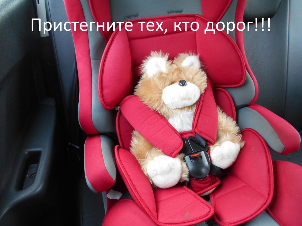 Баннер "Пристегните тех, кто дорог"