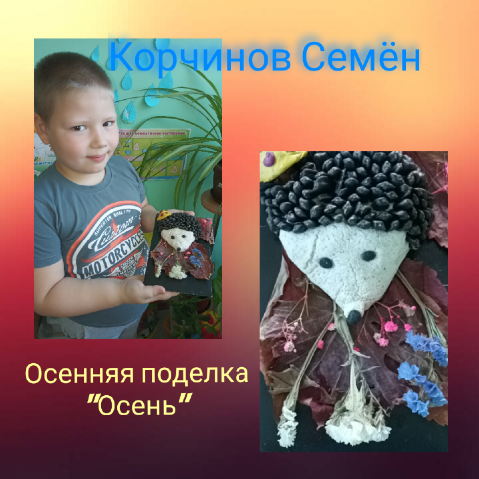 Осенний ежик