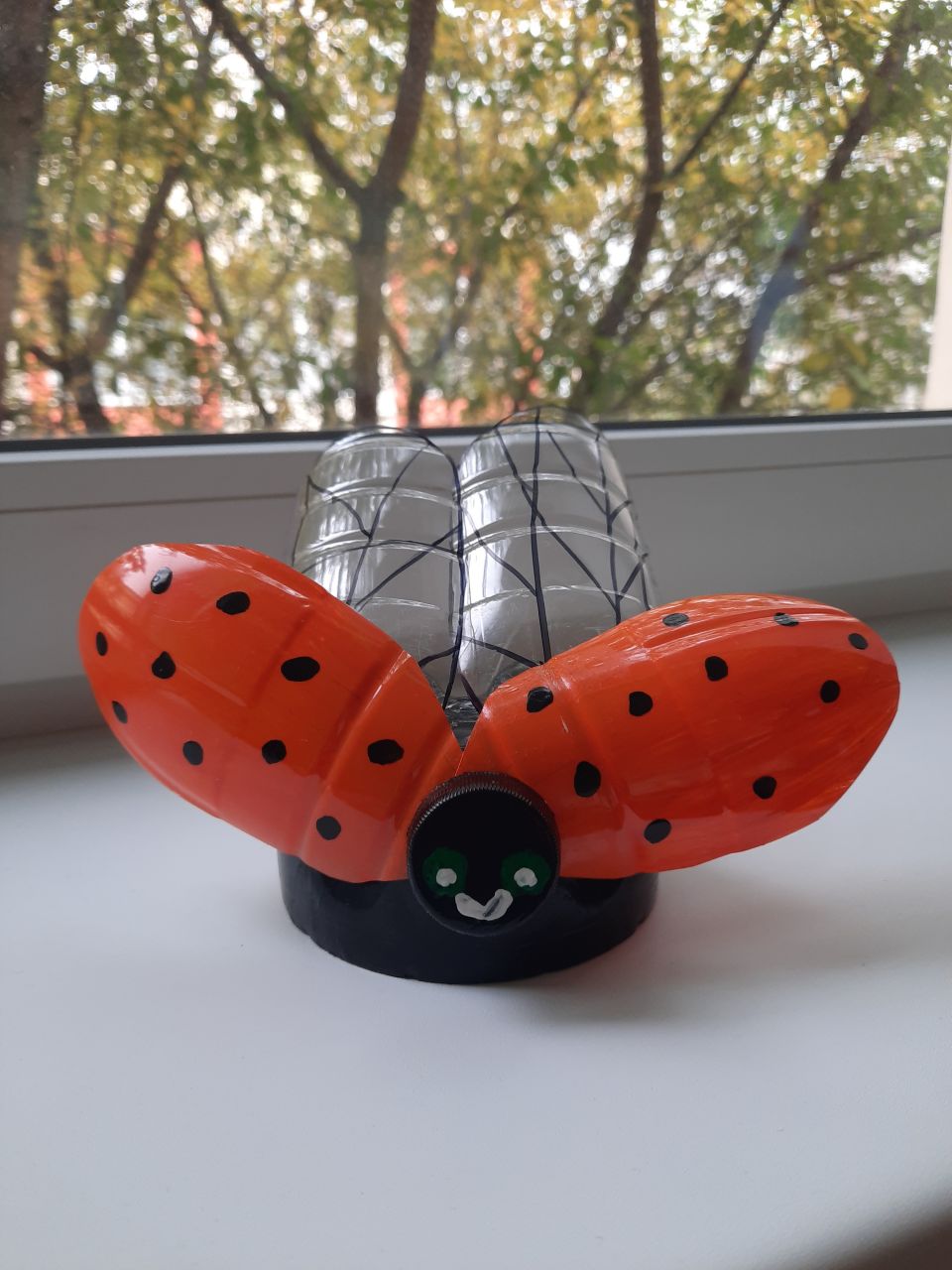 Божья коровка