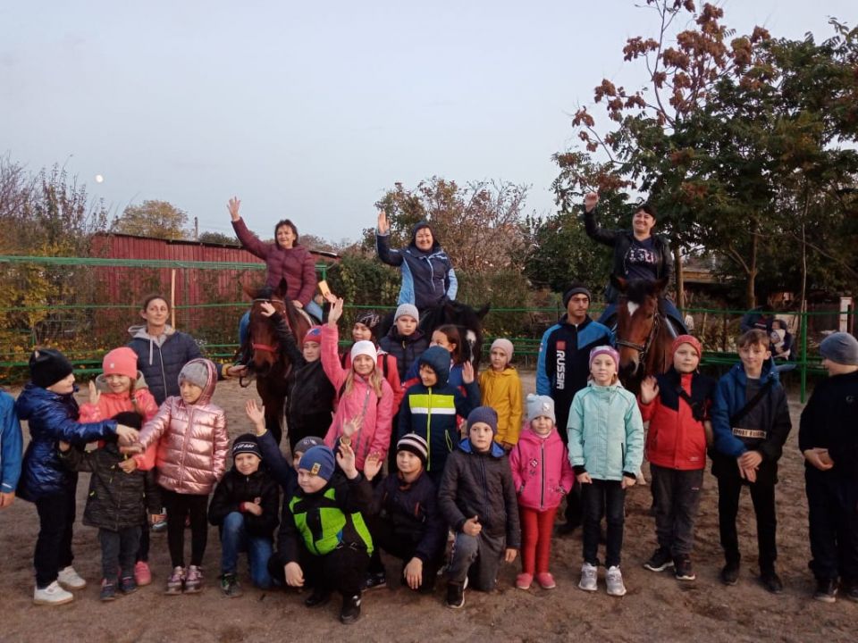 Мир лошадей