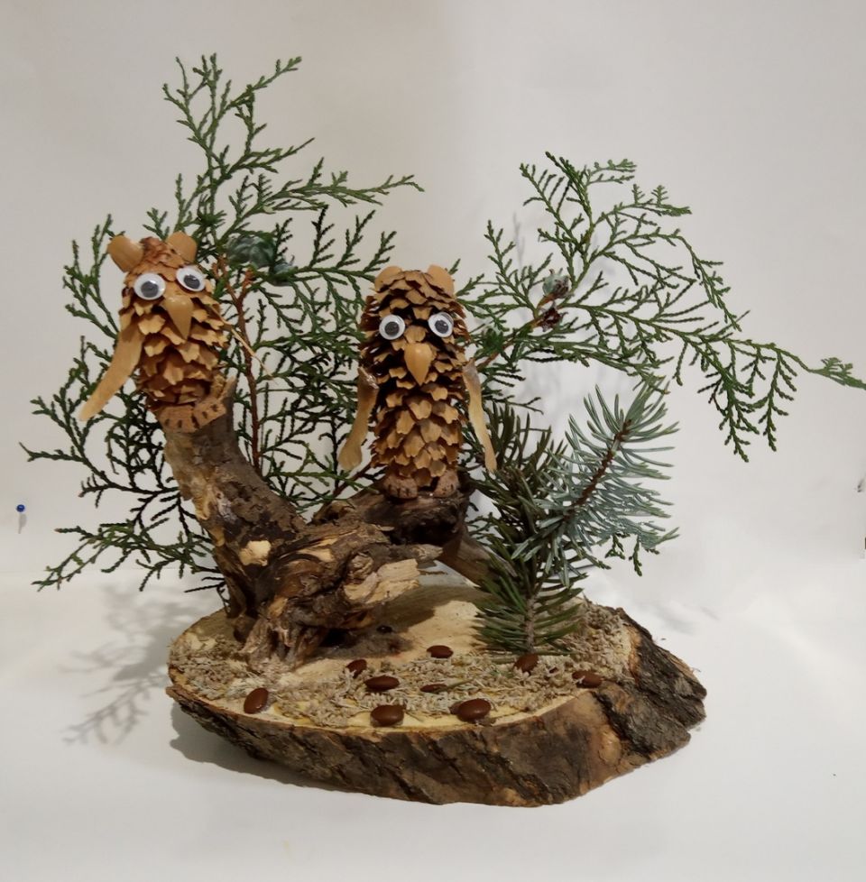 Сохраним птиц!