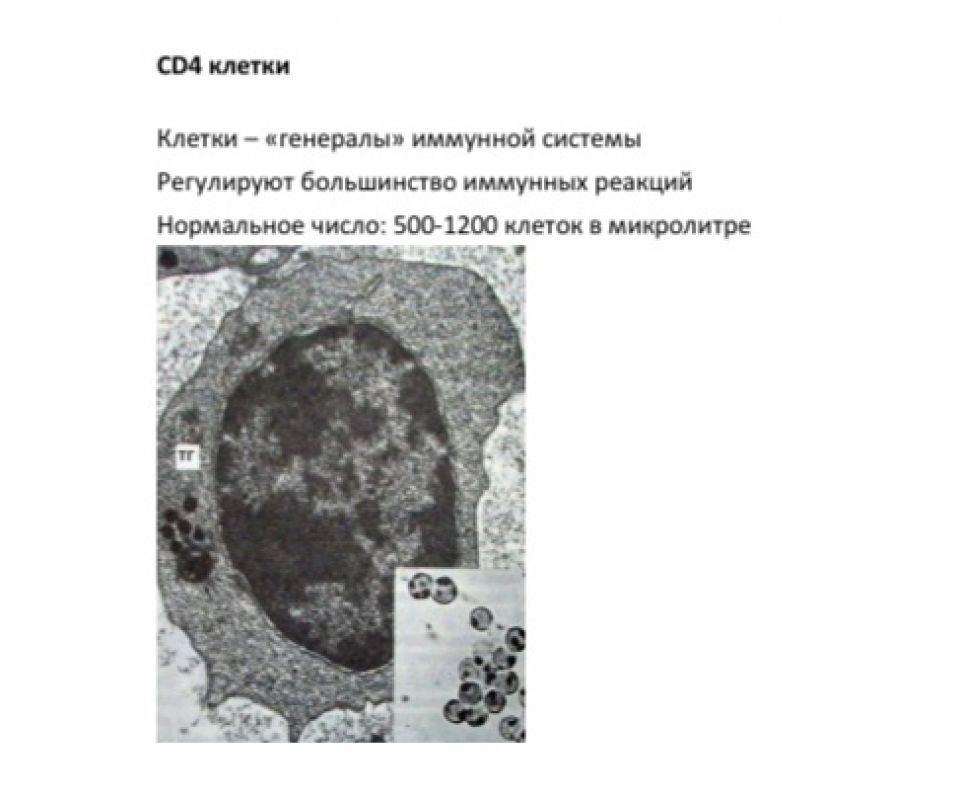 СД4 клетки