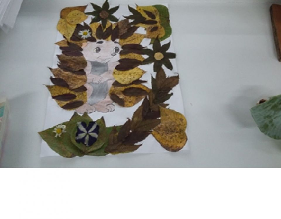 Лесной ёжик