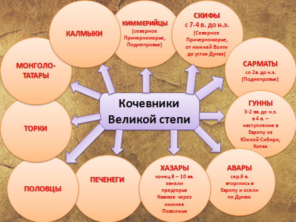 Кочевники степи