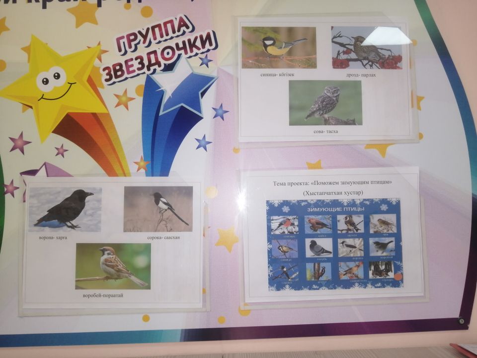 Зимующие птицы