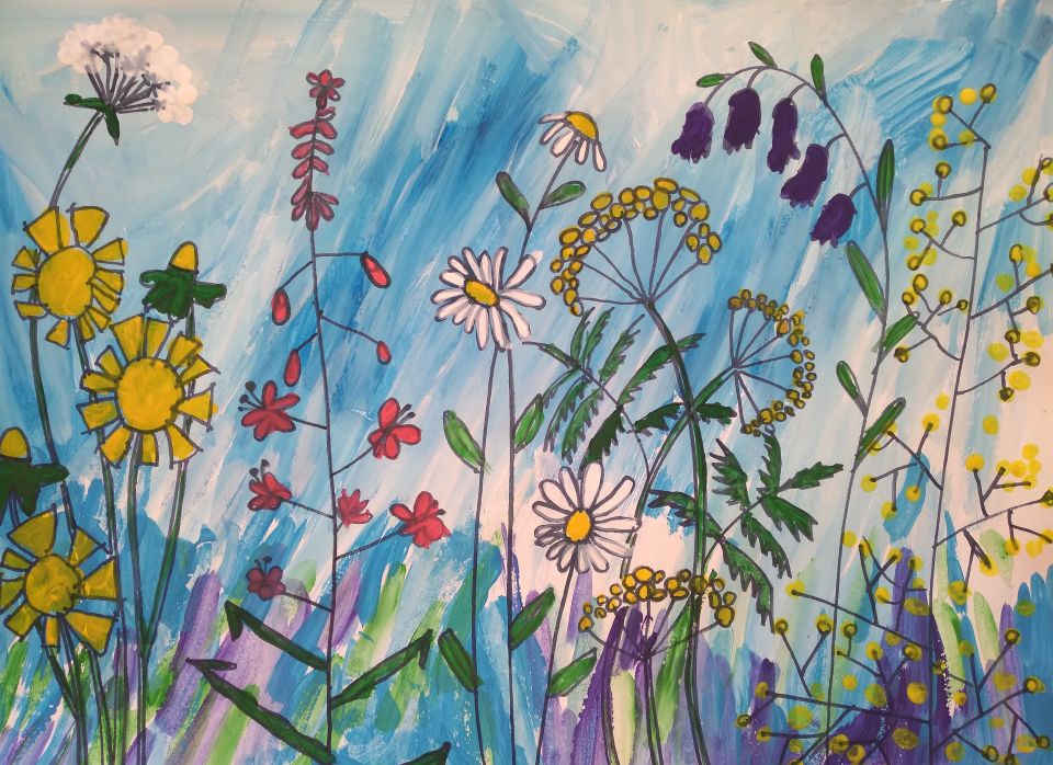 Луговые цветы