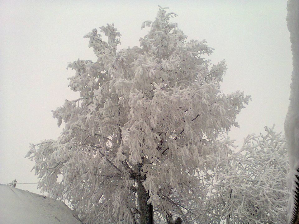Зима в городе