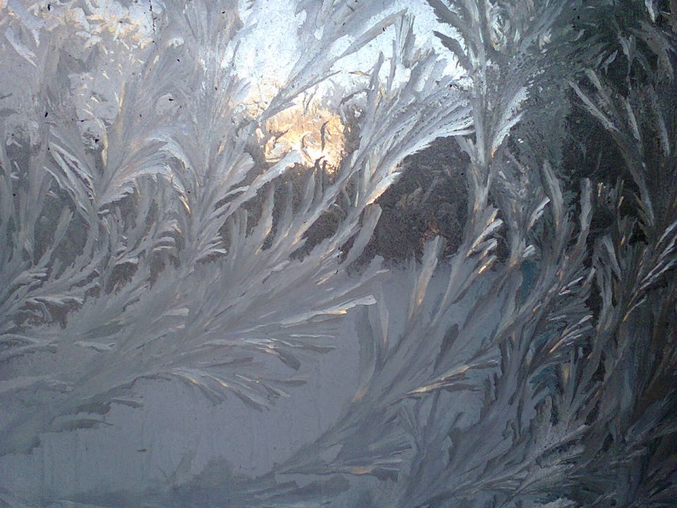 Зима в городе