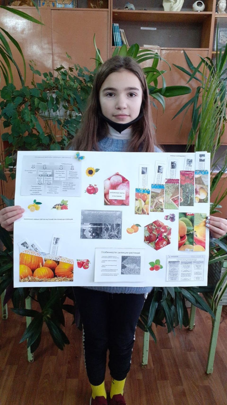 Лэпбук "Мир растений"