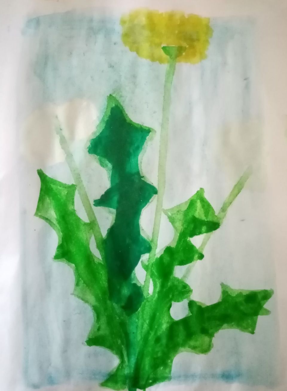 Одуванчик, рисование краской