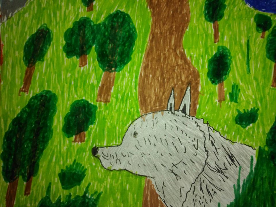 Сибирский волк