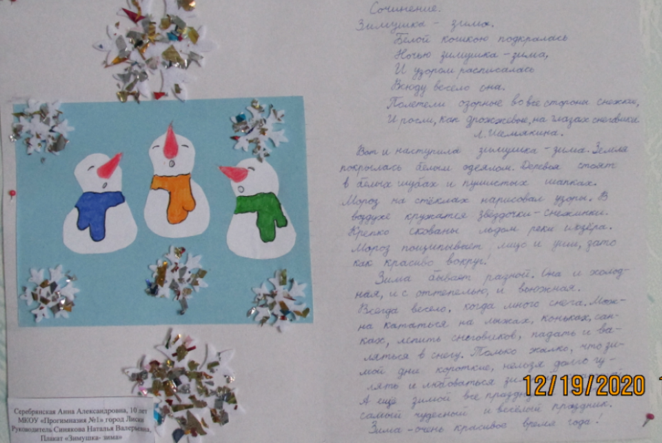 Зимние радости
