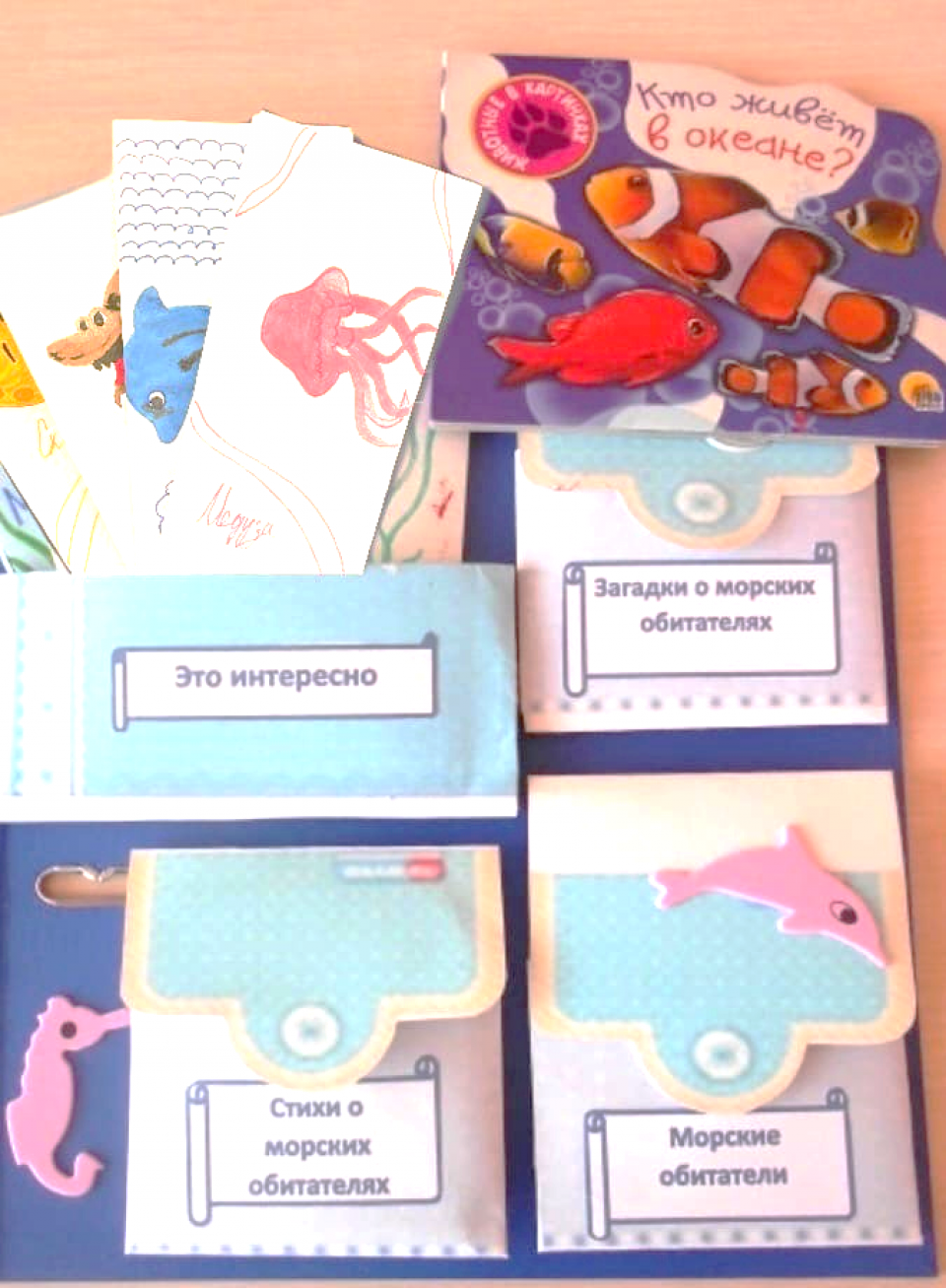 В мире океана