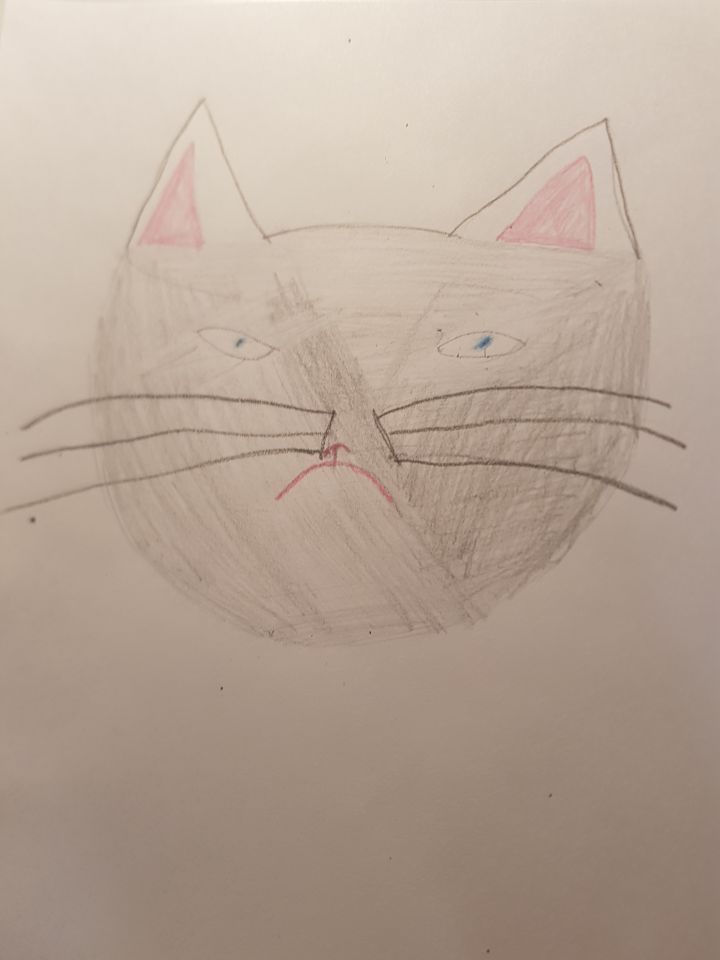 Недовольная кошка