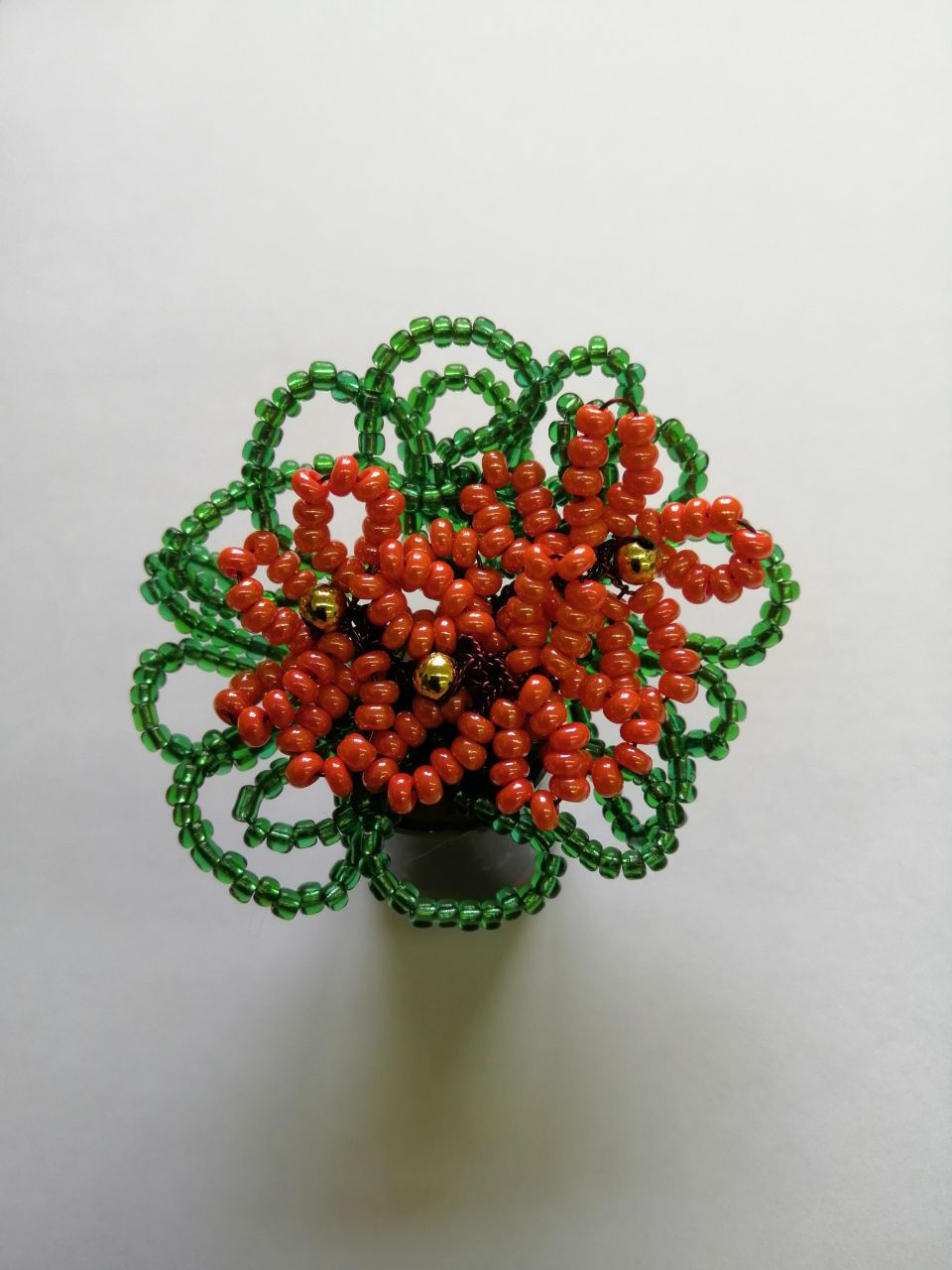 Первые цветы