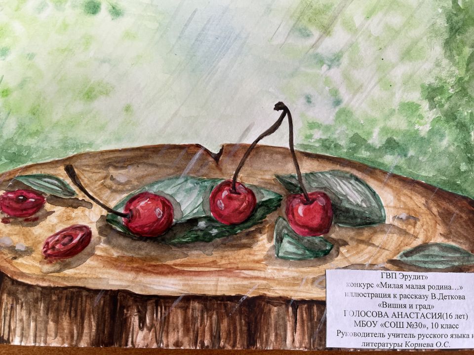 Иллюстрация к миниатюре В.Деткова "Вишня и град"