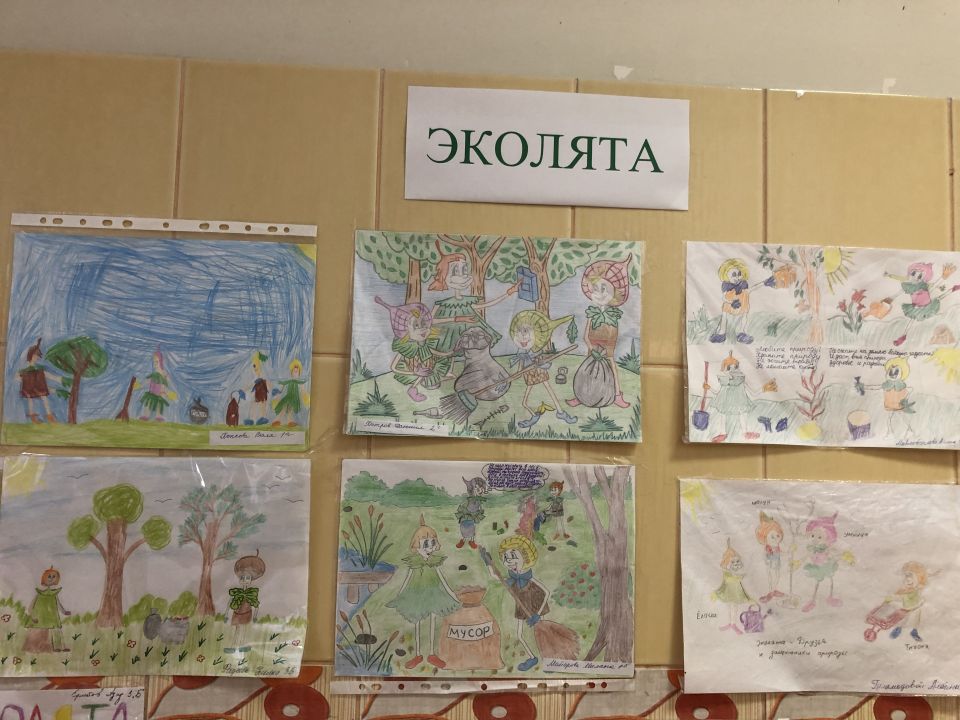 Эколята