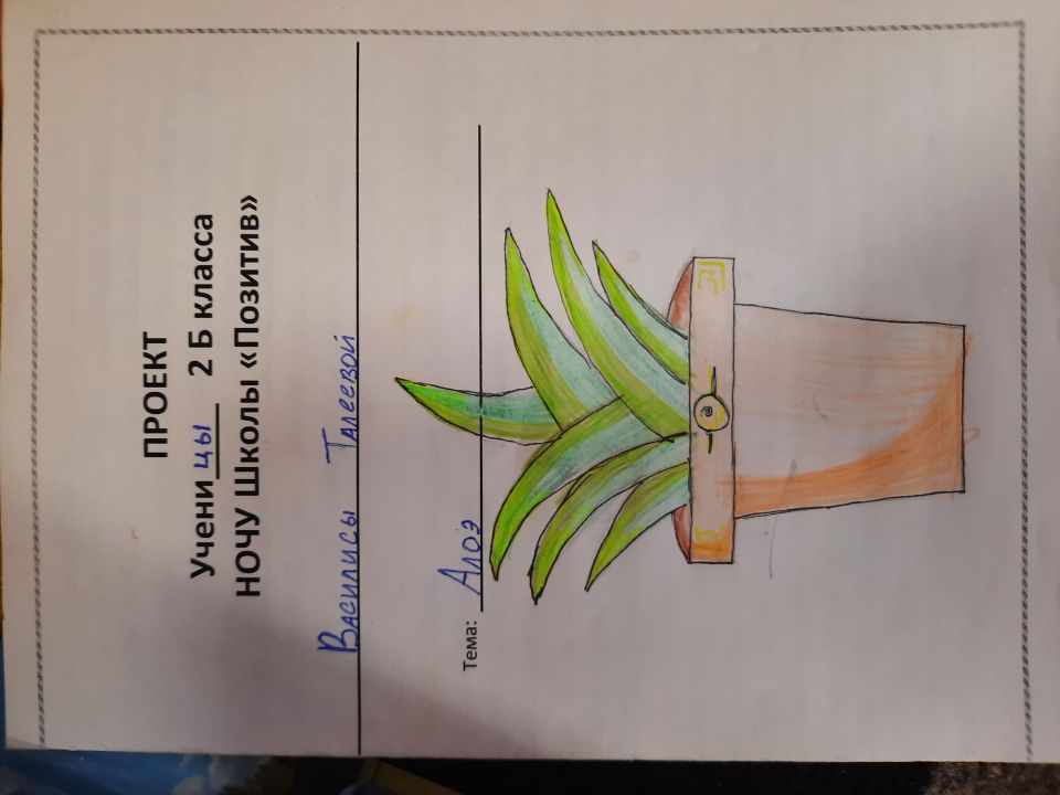 Проект "Лекарственные растения"