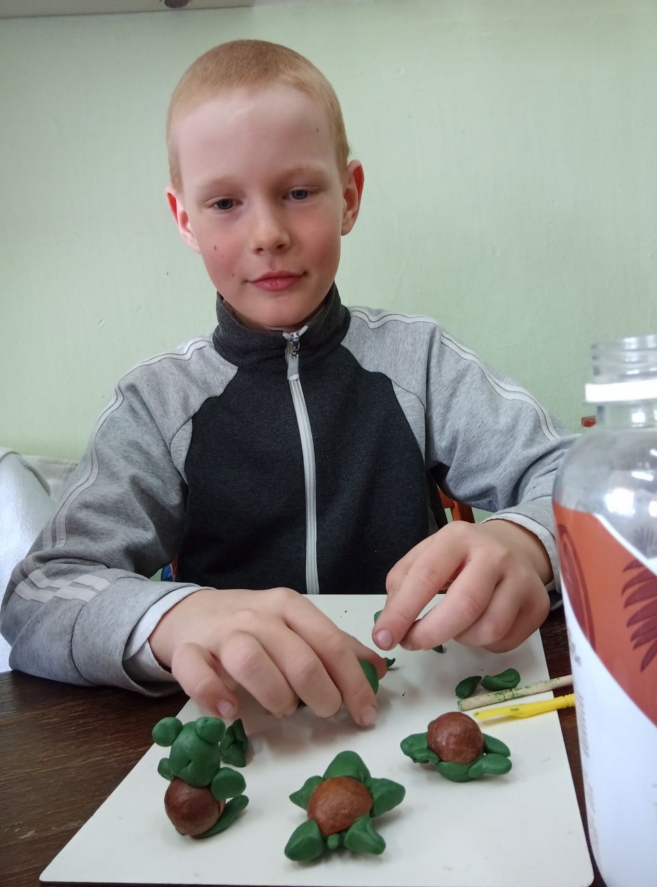 Морские черепашки.